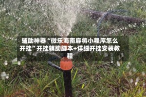 辅助神器“微乐海南麻将小程序怎么开挂”开挂辅助脚本+详细开挂安装教程