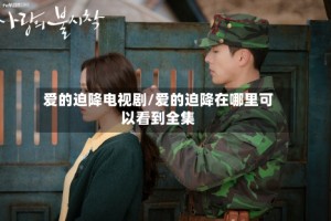 爱的迫降电视剧/爱的迫降在哪里可以看到全集