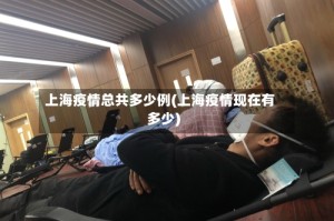 上海疫情总共多少例(上海疫情现在有多少)
