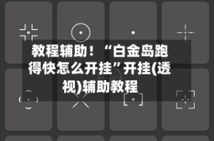 教程辅助！“白金岛跑得快怎么开挂”开挂(透视)辅助教程
