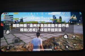 辅助神器“金州水鱼到底能不能开透视挂(透视)”详细开挂玩法