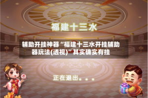 辅助开挂神器“福建十三水开挂辅助器玩法(透视)”其实确实有挂