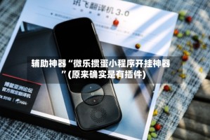 辅助神器“微乐掼蛋小程序开挂神器”(原来确实是有插件)