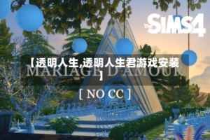 【透明人生,透明人生君游戏安装】