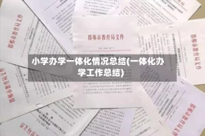 小学办学一体化情况总结(一体化办学工作总结)
