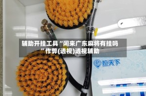 辅助开挂工具“闲来广东麻将有挂吗”作弊(透视)透视辅助