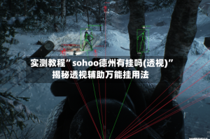 实测教程”sohoo德州有挂吗(透视)”揭秘透视辅助万能挂用法