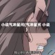 小说气冲星河(气冲星河 小说)