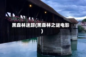 黑森林迷踪(黑森林之谜电影)