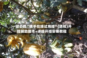 一键必胜“佛手在线试用挂”(透视)开挂辅助脚本+详细开挂安装教程