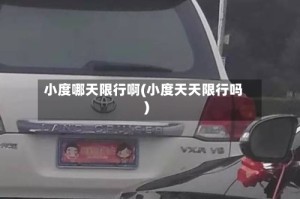 小度哪天限行啊(小度天天限行吗)