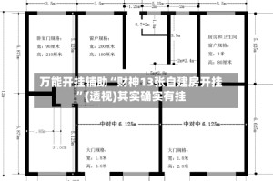 万能开挂辅助“财神13张自建房开挂”(透视)其实确实有挂
