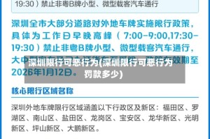 深圳限行可恶行为(深圳限行可恶行为罚款多少)