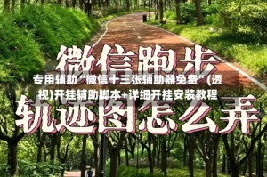 专用辅助“微信十三张辅助器免费”(透视)开挂辅助脚本+详细开挂安装教程