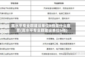 高水平专业群建设单位B档是什么意思(高水平专业群建设单位b档)