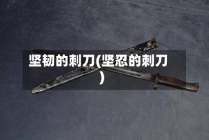 坚韧的刺刀(坚忍的刺刀)