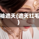 红袖遮天(遮天红毛)