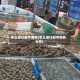 怎么进行超市调研(怎么进行超市调研分析)
