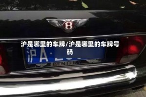 沪是哪里的车牌/沪是哪里的车牌号码