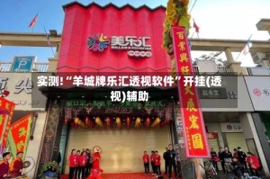 实测!“羊城牌乐汇透视软件”开挂(透视)辅助