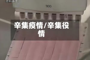 辛集疫情/辛集役情