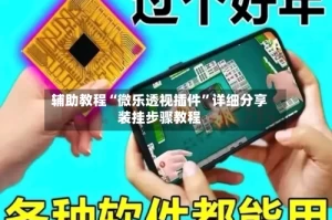 辅助教程“微乐透视插件”详细分享装挂步骤教程