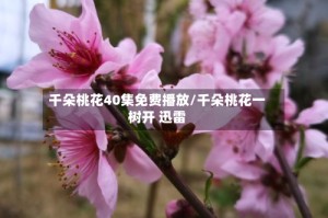千朵桃花40集免费播放/千朵桃花一树开 迅雷