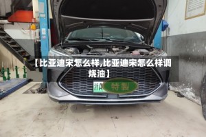 【比亚迪宋怎么样,比亚迪宋怎么样调烧油】