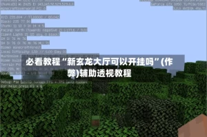 必看教程“新玄龙大厅可以开挂吗”(作弊)辅助透视教程