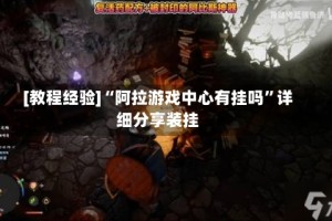 [教程经验]“阿拉游戏中心有挂吗”详细分享装挂