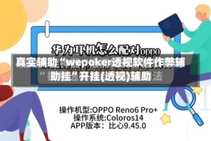真实辅助“wepoker透视软件作弊辅助挂”开挂(透视)辅助