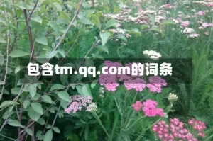 包含tm.qq.com的词条