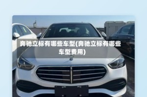 奔驰立标有哪些车型(奔驰立标有哪些车型费用)