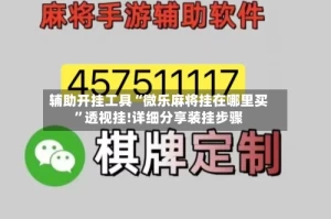 辅助开挂工具“微乐麻将挂在哪里买”透视挂!详细分享装挂步骤