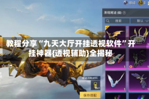 教程分享“九天大厅开挂透视软件”开挂神器{透视辅助}全揭秘