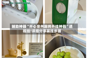 辅助神器“开心泉州麻将开挂神器”透视挂!详细分享装挂步骤