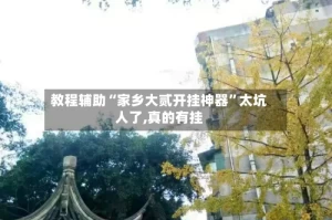 教程辅助“家乡大贰开挂神器”太坑人了,真的有挂