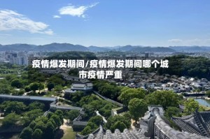 疫情爆发期间/疫情爆发期间哪个城市疫情严重