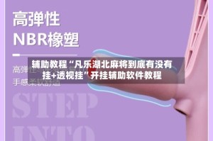 辅助教程“凡乐湖北麻将到底有没有挂+透视挂”开挂辅助软件教程