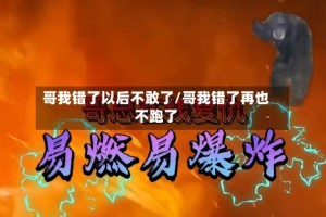 哥我错了以后不敢了/哥我错了再也不跑了
