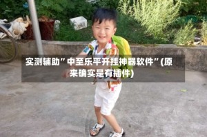 实测辅助”中至乐平开挂神器软件”(原来确实是有插件)