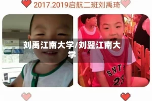 刘禹江南大学/刘翌江南大学