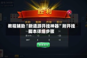 教程辅助“新道游开挂神器”附开挂脚本详细步骤