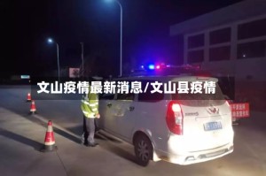 文山疫情最新消息/文山县疫情