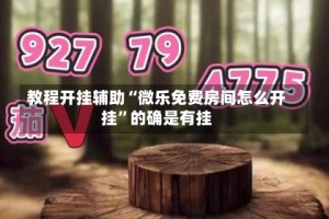 教程开挂辅助“微乐免费房间怎么开挂”的确是有挂
