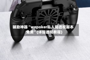 辅助神器“wepoker私人局透视脚本免费”(详细透视教程)