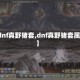 【dnf真野猪套,dnf真野猪套属性】