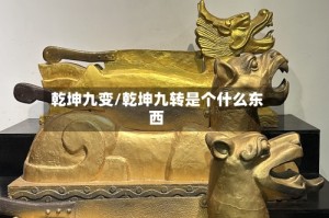 乾坤九变/乾坤九转是个什么东西
