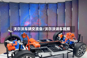 沃尔沃车辆交流会/沃尔沃讲车视频