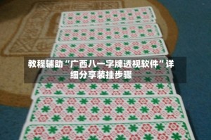 教程辅助“广西八一字牌透视软件”详细分享装挂步骤